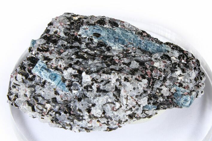 Fluorescent Kyanite & Garnet in Biotite-Quartz Schist - Russia #380684